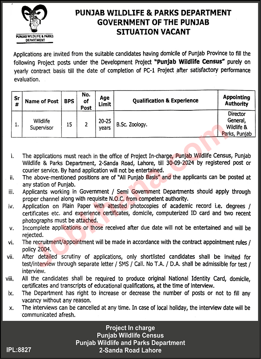 Wildlife Supervisor Jobs in Punjab Wildlife & Parks Department 2024