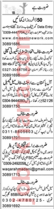 Job Openings: Data Entry, Helper, and Office Staff Positions in Pakistan – Apply Now