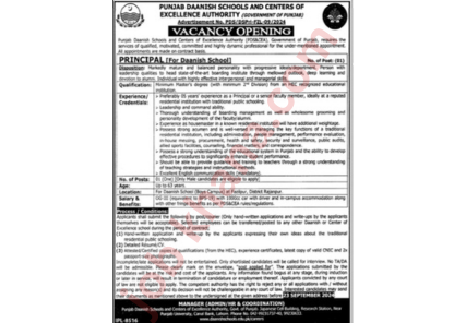 Principal Position at Punjab Daanish Schools & Center Of Excellence Authority