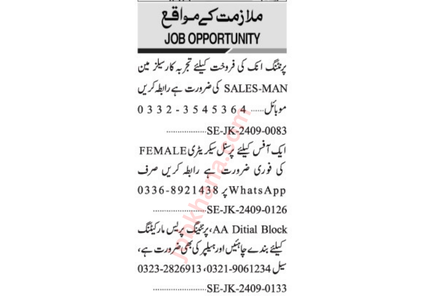 Private Company Jobs in Karachi – Vacancies for Personal Secretary, Marketing Officer, Helper, and Salesman